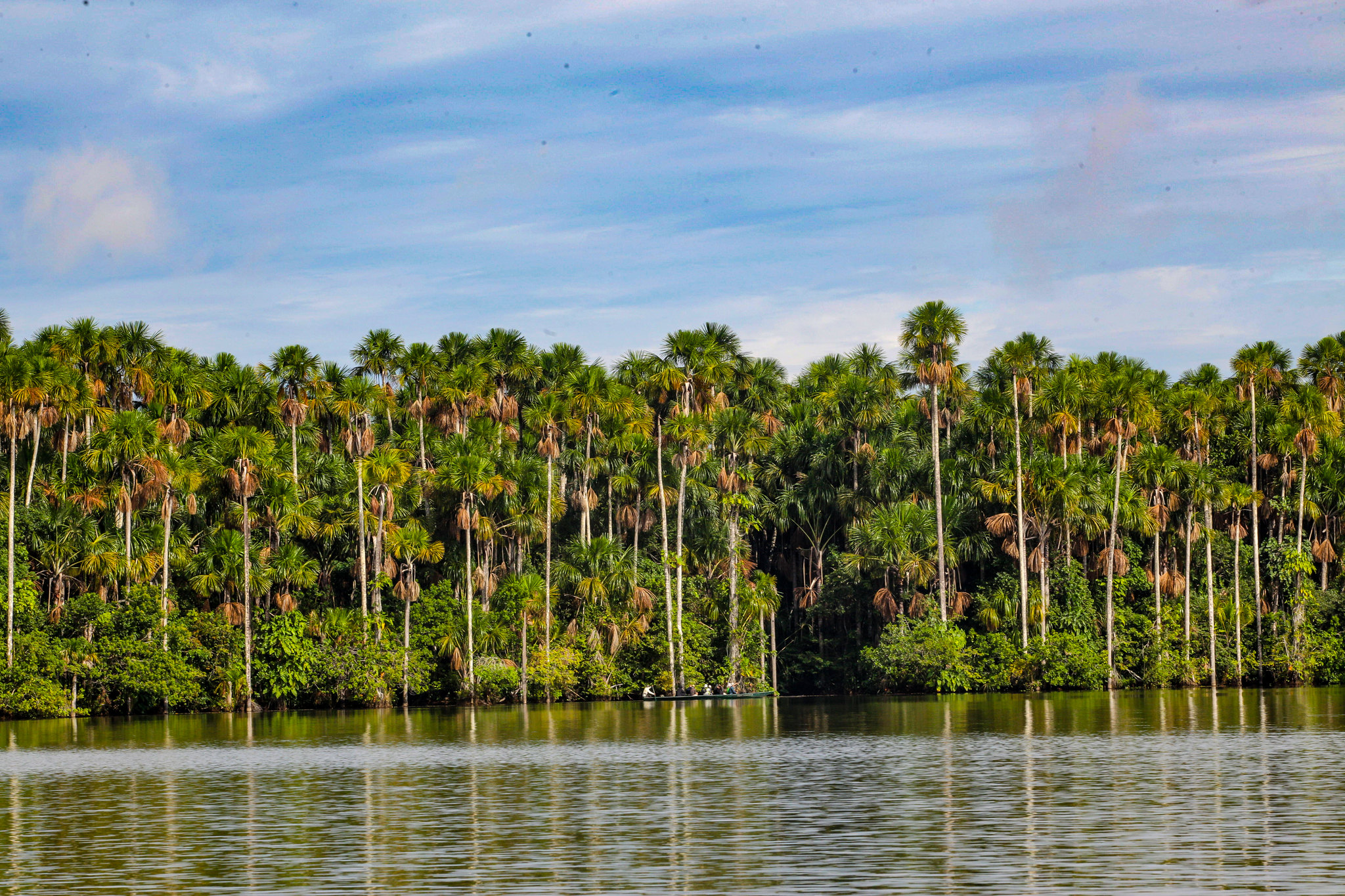 Tambopata National Reserve 3 Days