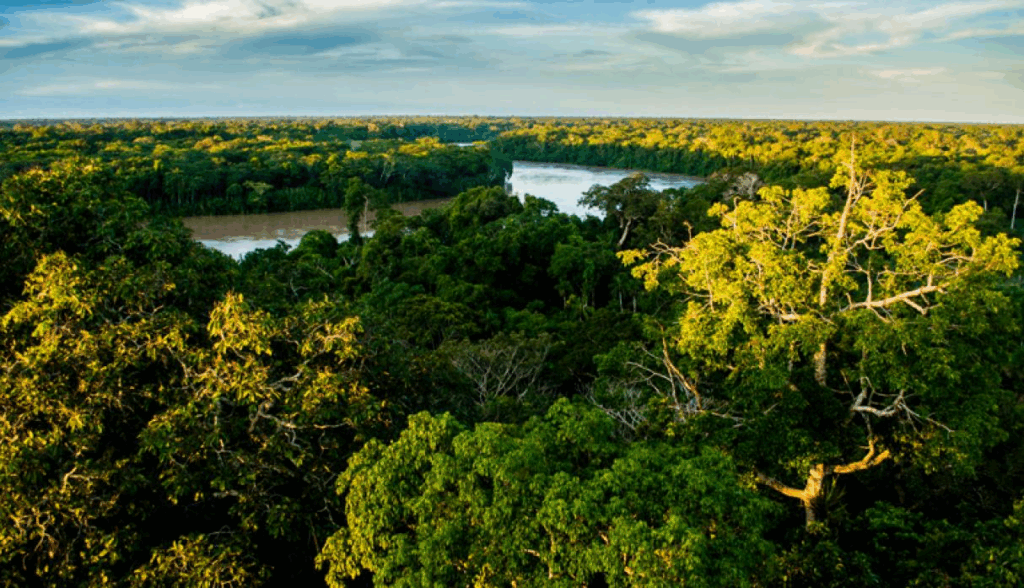 SELVA AMAZÓNICA DEL PERÚ: ¿IQUITOS O TAMBOPATA?