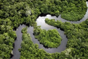 Iquitos