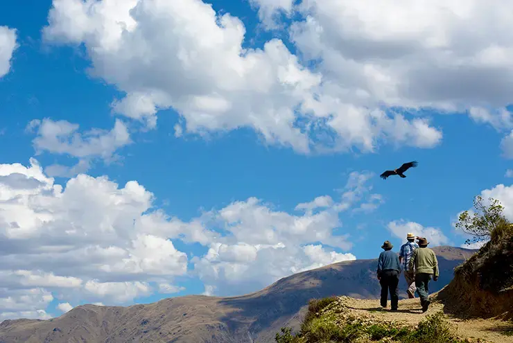 Mirador de Cóndores Chonta 1 día