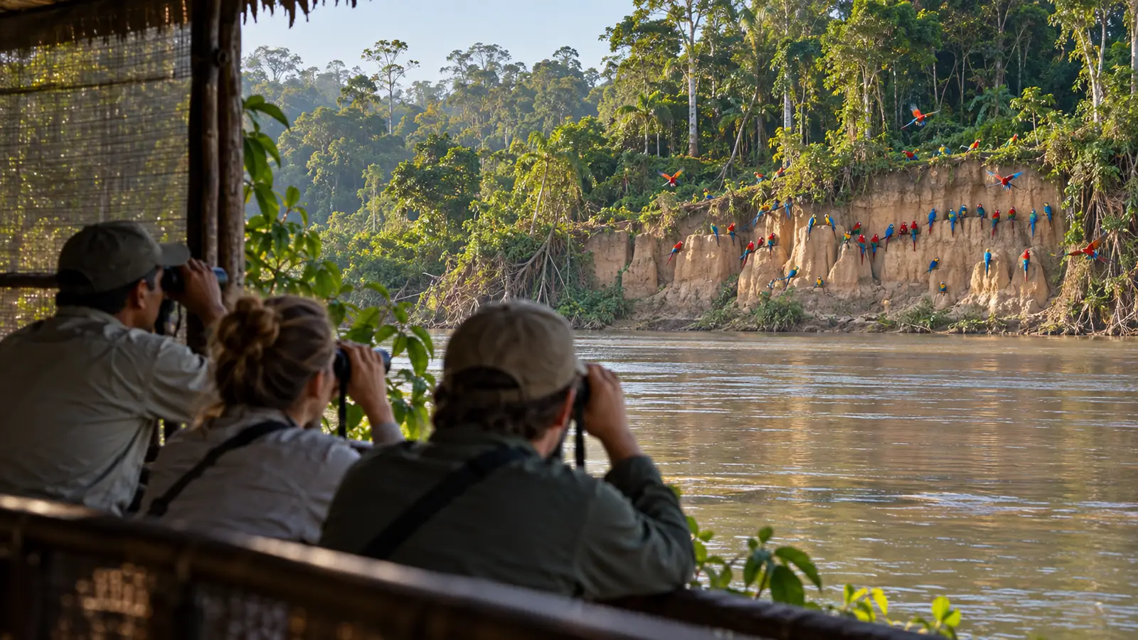 Travelers quietly observing distant macaws at a Tambopata clay lick from a designated viewing area