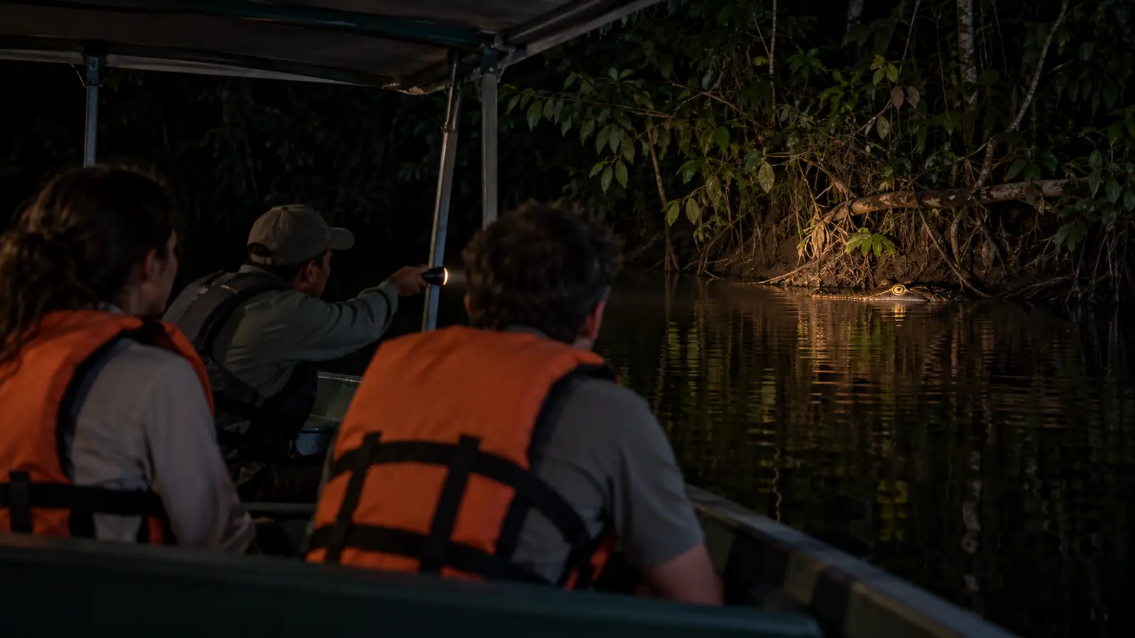 Guide showing seated travelers a distant caiman from a covered boat during a safe night outing